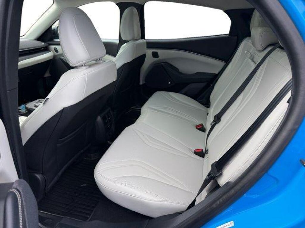 undefined. Enlarge image 16