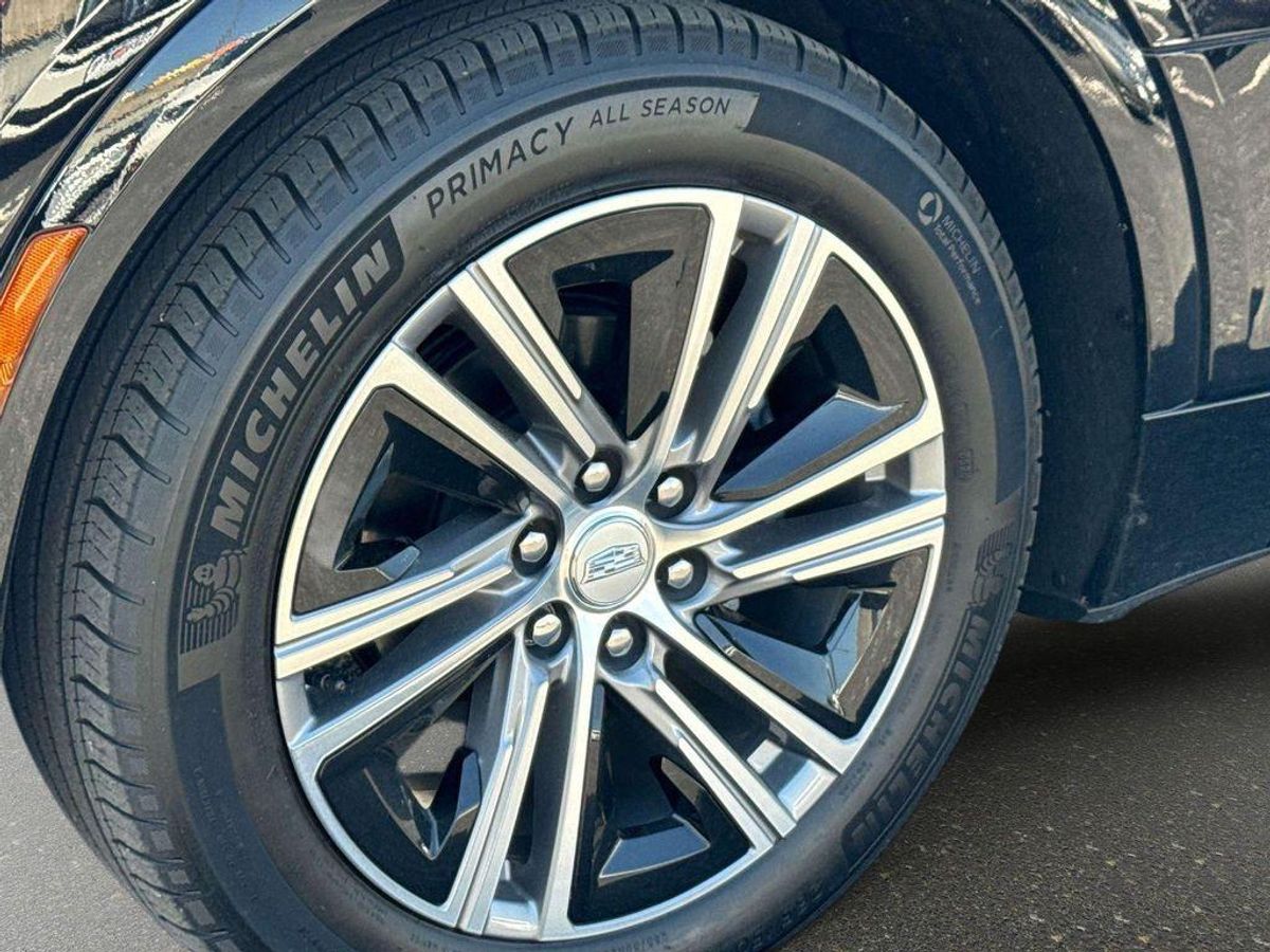 undefined. Enlarge image 7