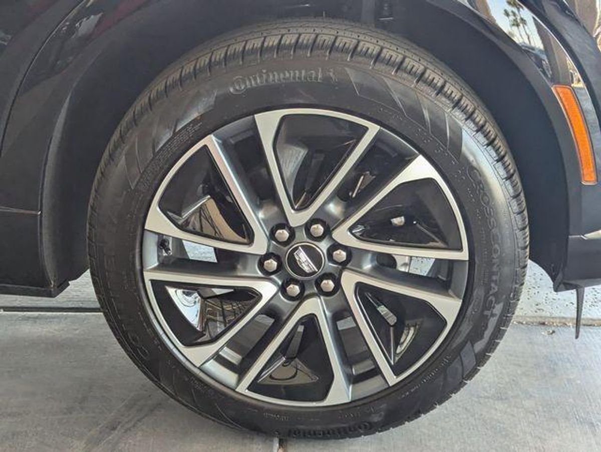undefined. Enlarge image 11