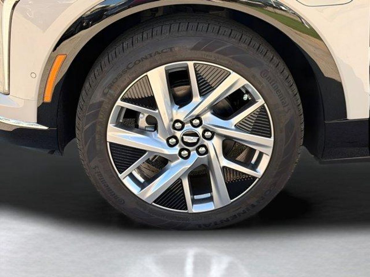 undefined. Enlarge image 2