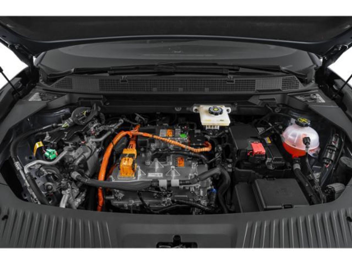 undefined. Enlarge image 14