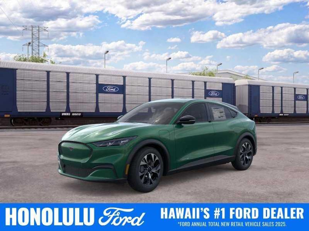 undefined. Enlarge image 1