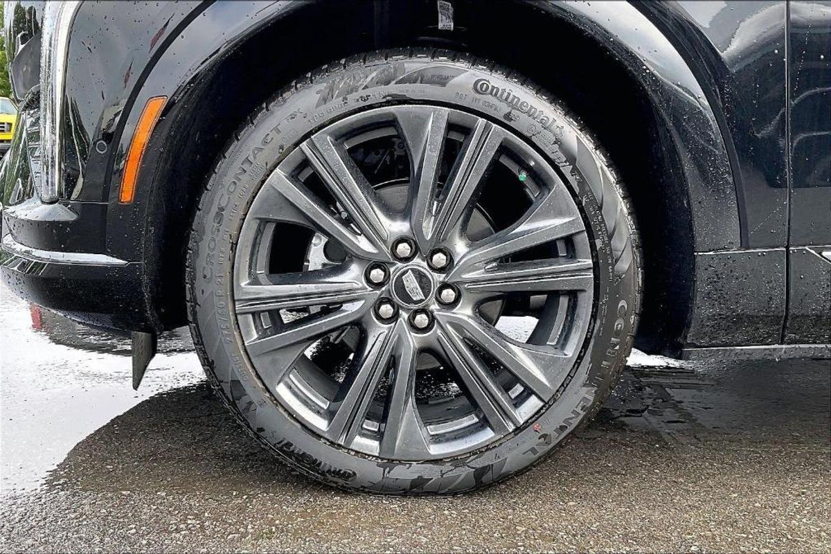 undefined. Enlarge image 12