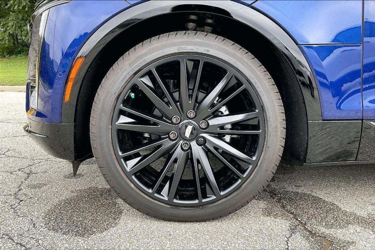 undefined. Enlarge image 12
