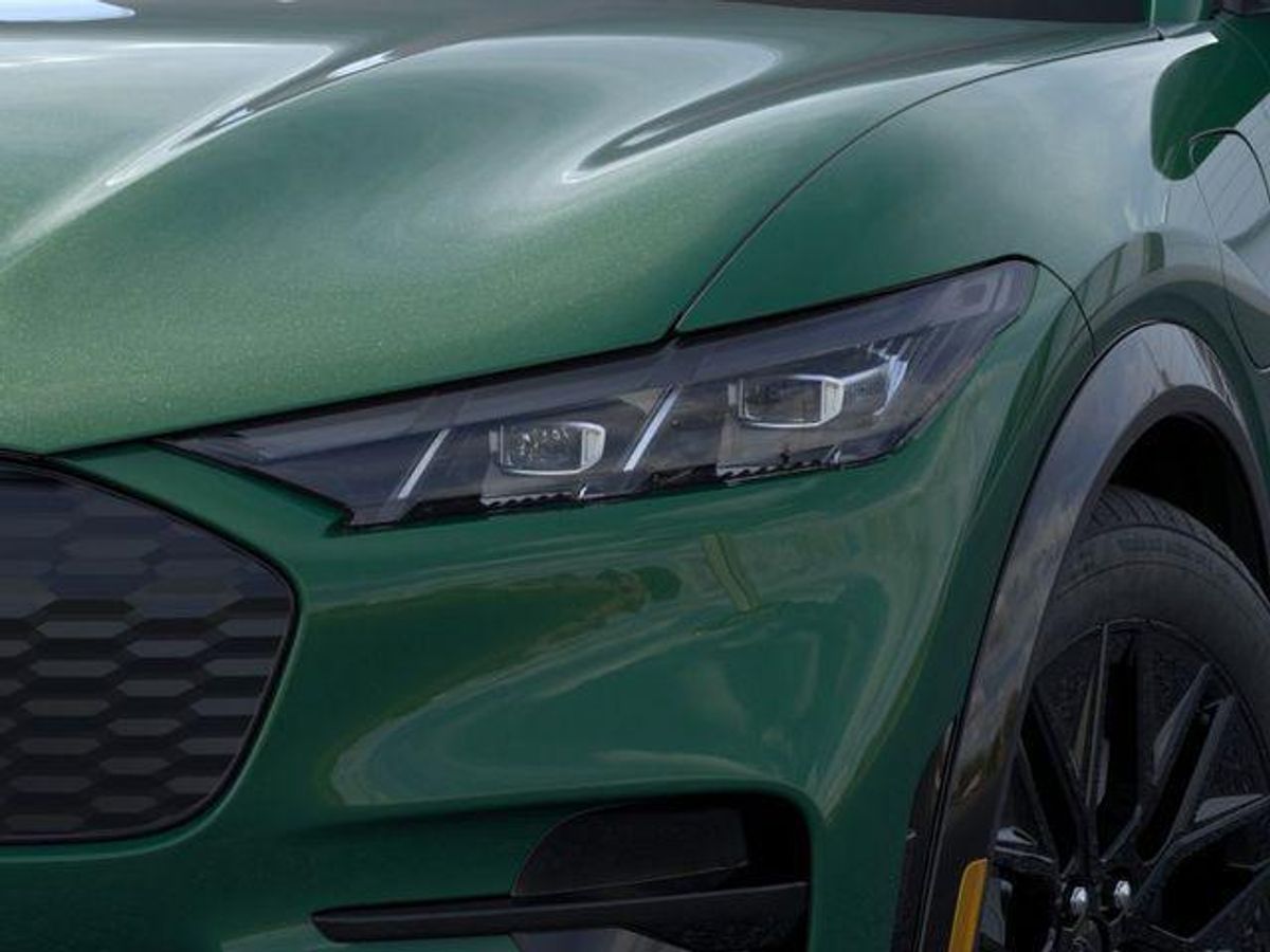 undefined. Enlarge image 18