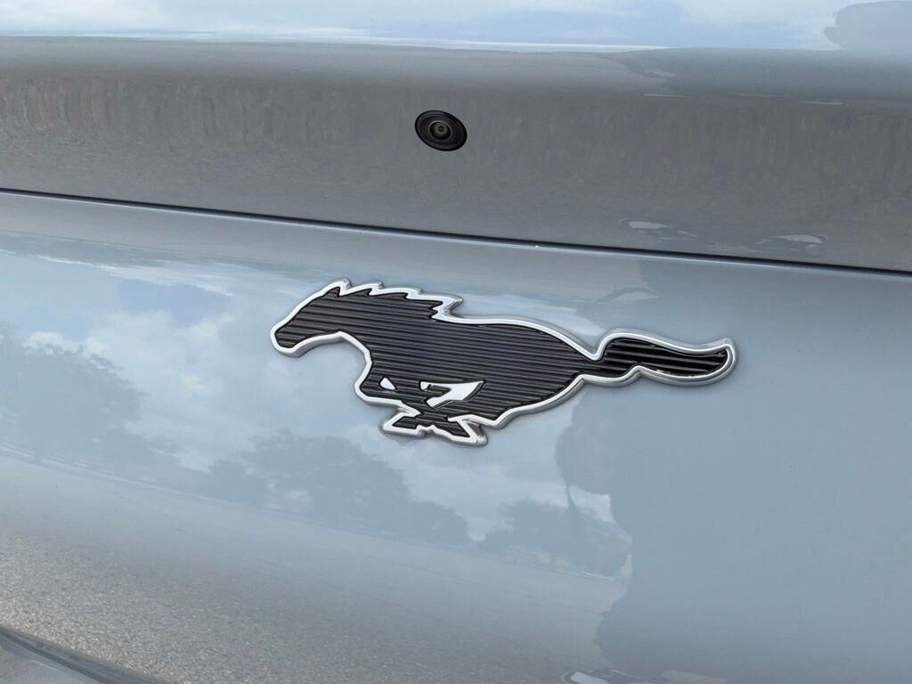 undefined. Enlarge image 19