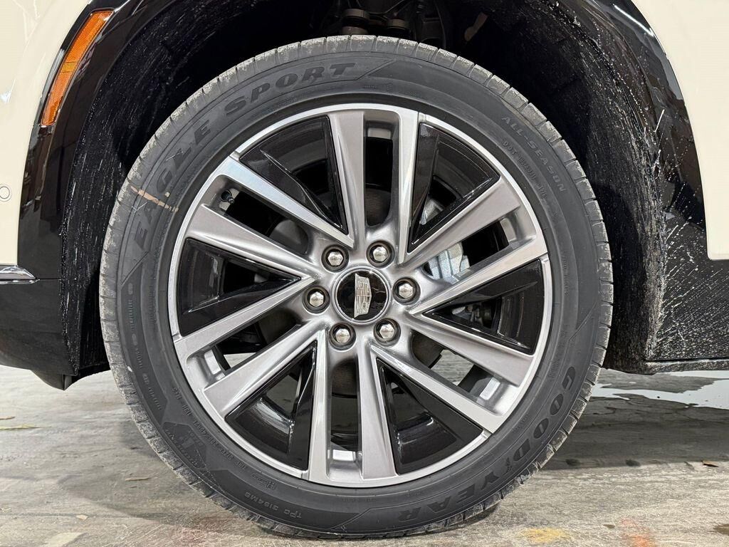 undefined. Enlarge image 10