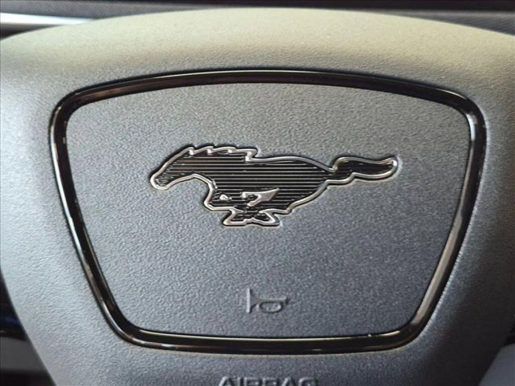 undefined. Enlarge image 15