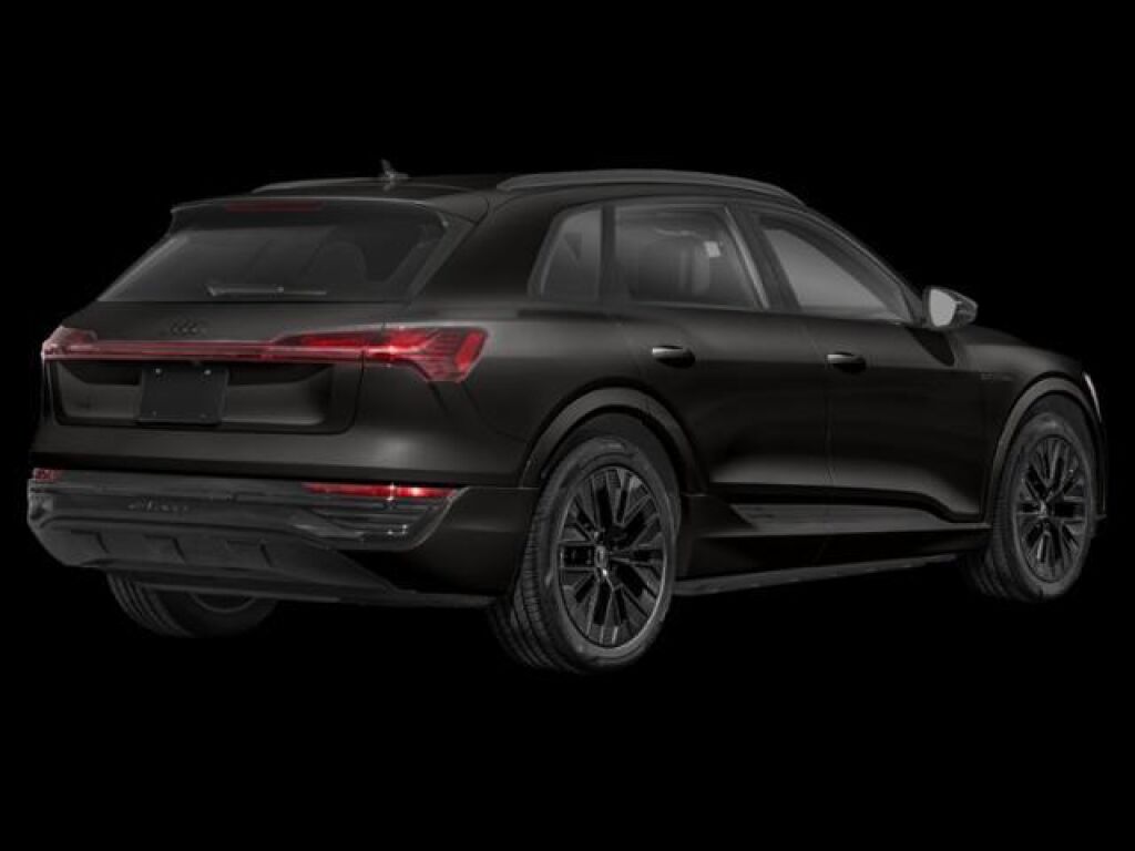 2024 Audi Q8 e-tron in Parker, CO