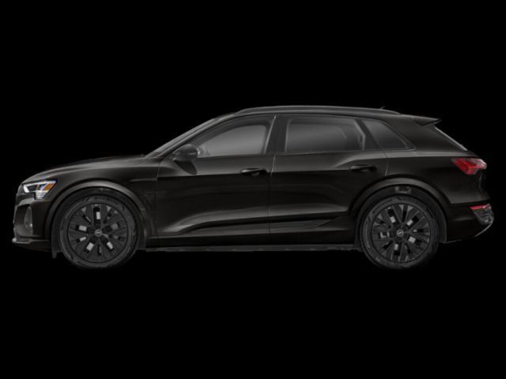 2024 Audi Q8 e-tron in Parker, CO