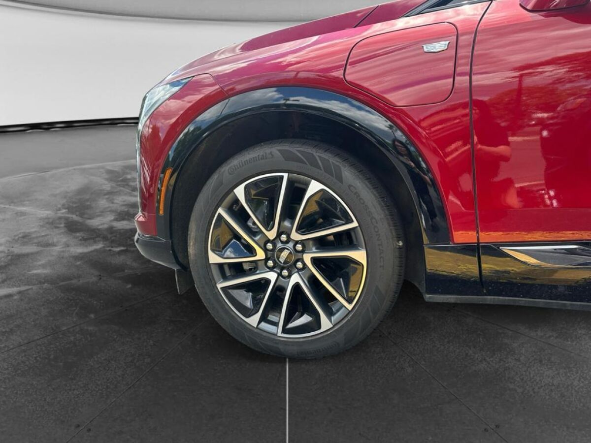 undefined. Enlarge image 15