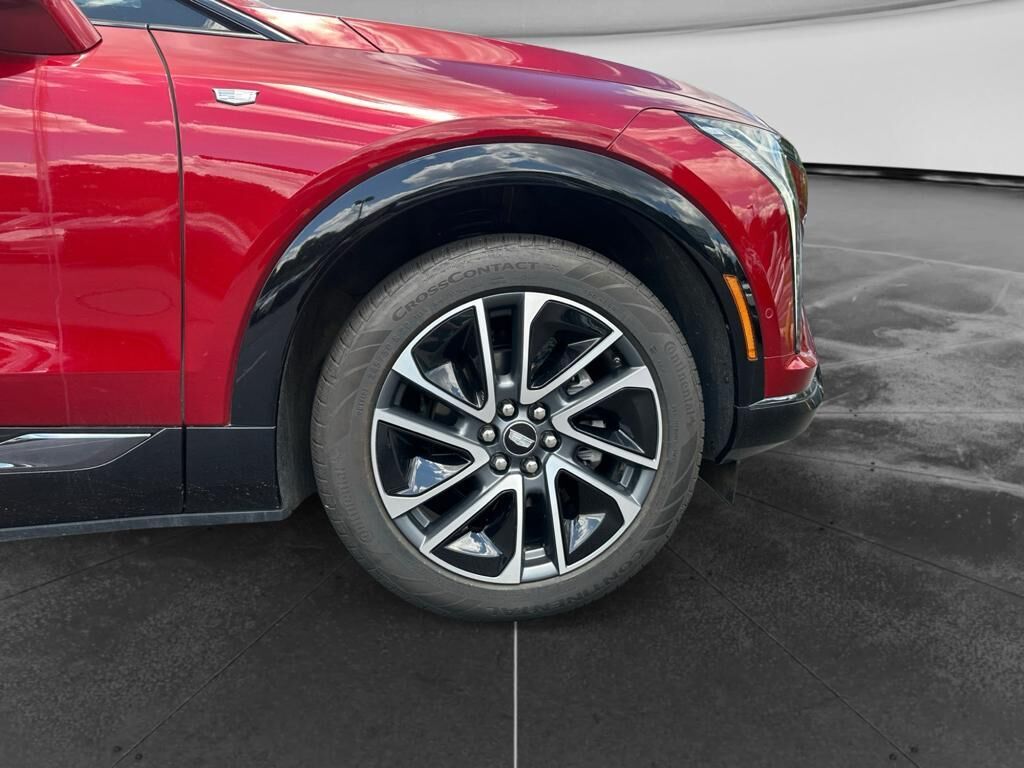 undefined. Enlarge image 17