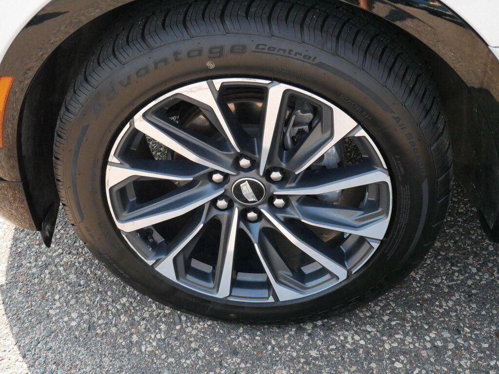 undefined. Enlarge image 15