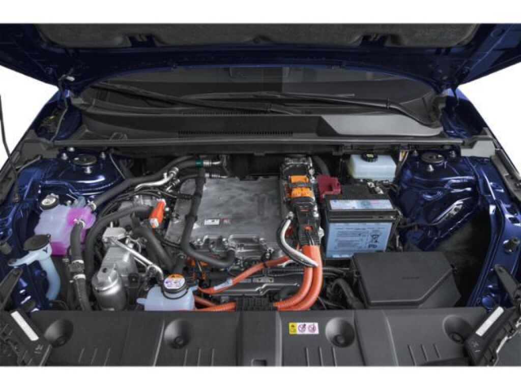 undefined. Enlarge image 14