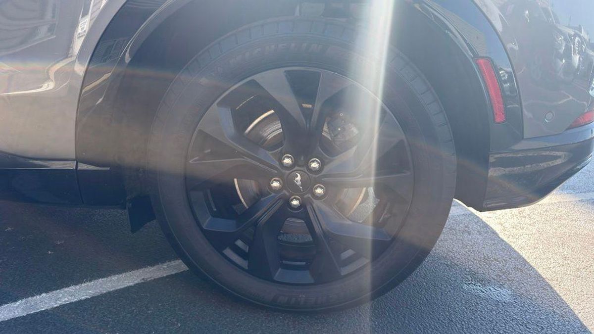 undefined. Enlarge image 8