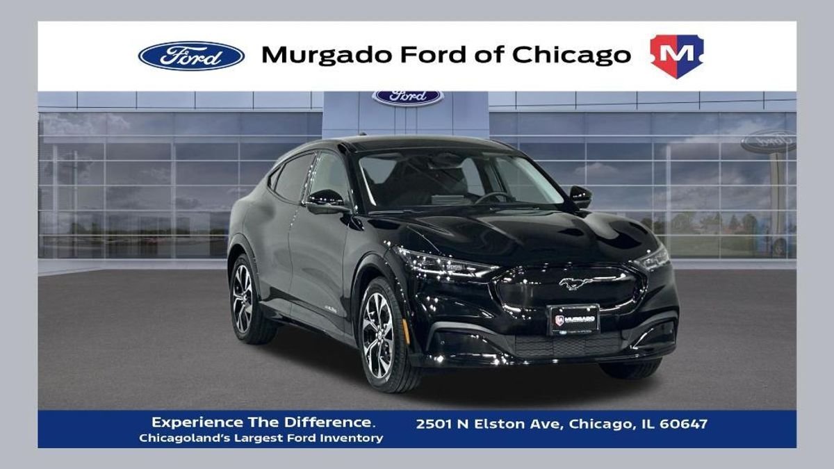 undefined. Enlarge image 1