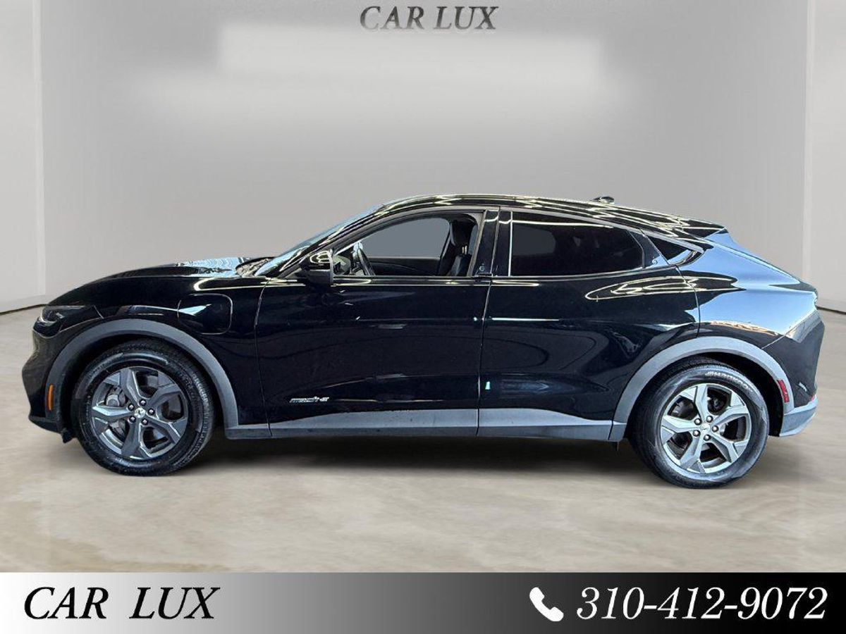 undefined. Enlarge image 2