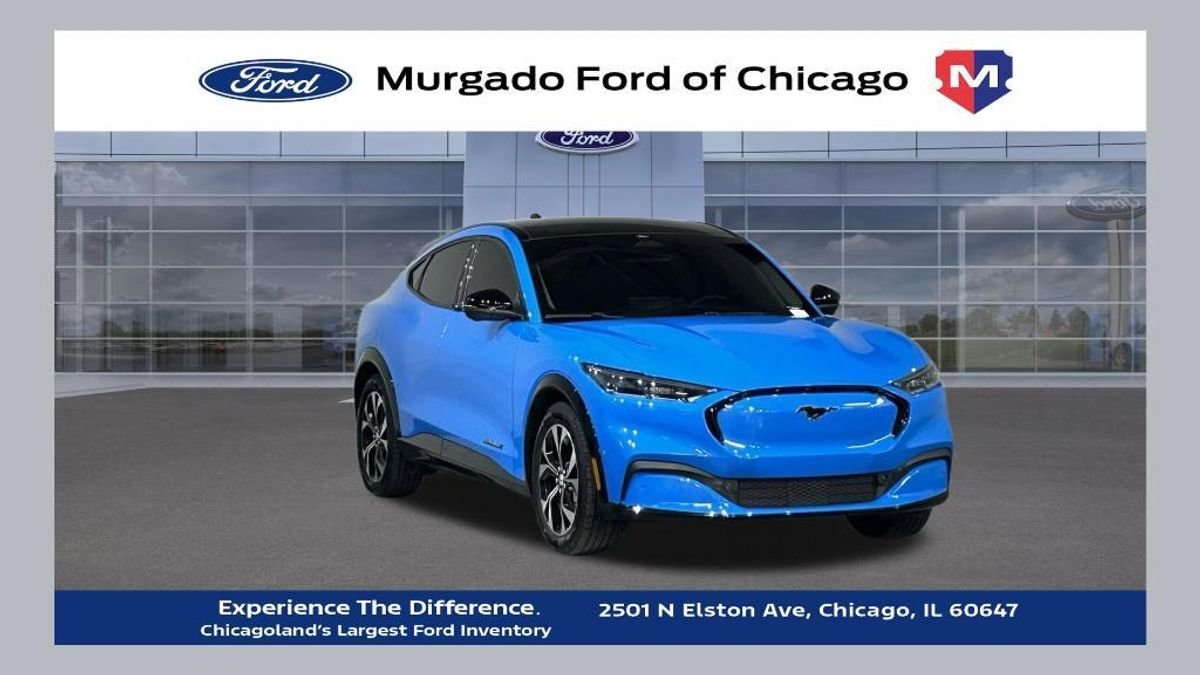 undefined. Enlarge image 1